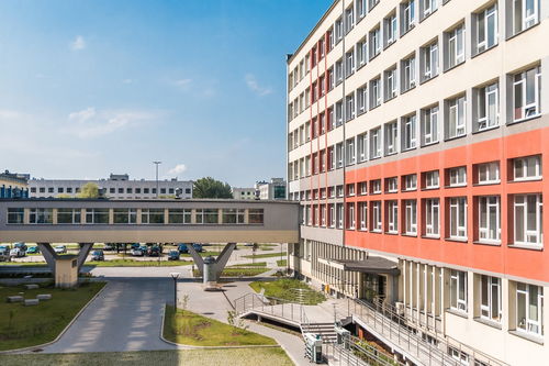爱游戏下载-中国篮球青训教练员专业能力提升及培训体系建设，篮球青训师资格证好考么