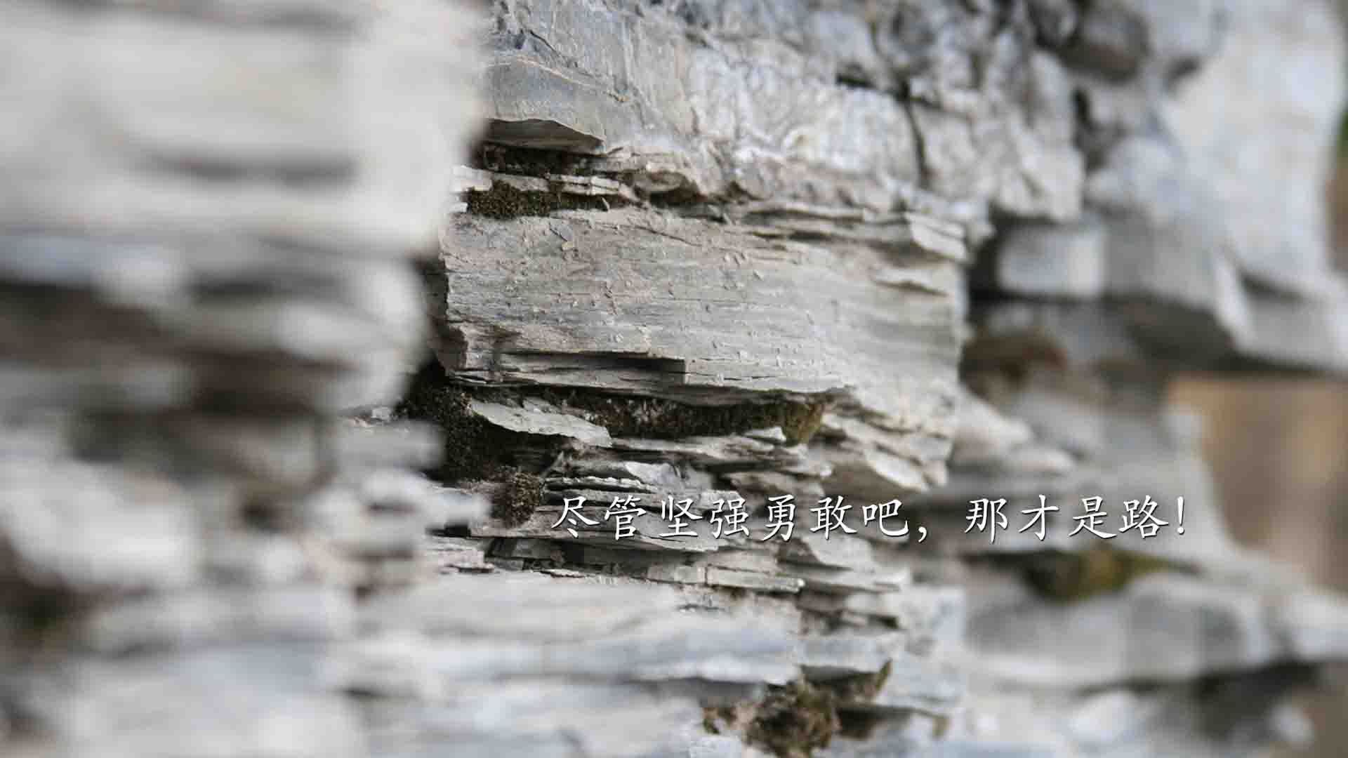 爱游戏中国官方网站平台-德国队在国际乒联混合团体世界杯中的赛制应对策略，德国乒乓球联赛