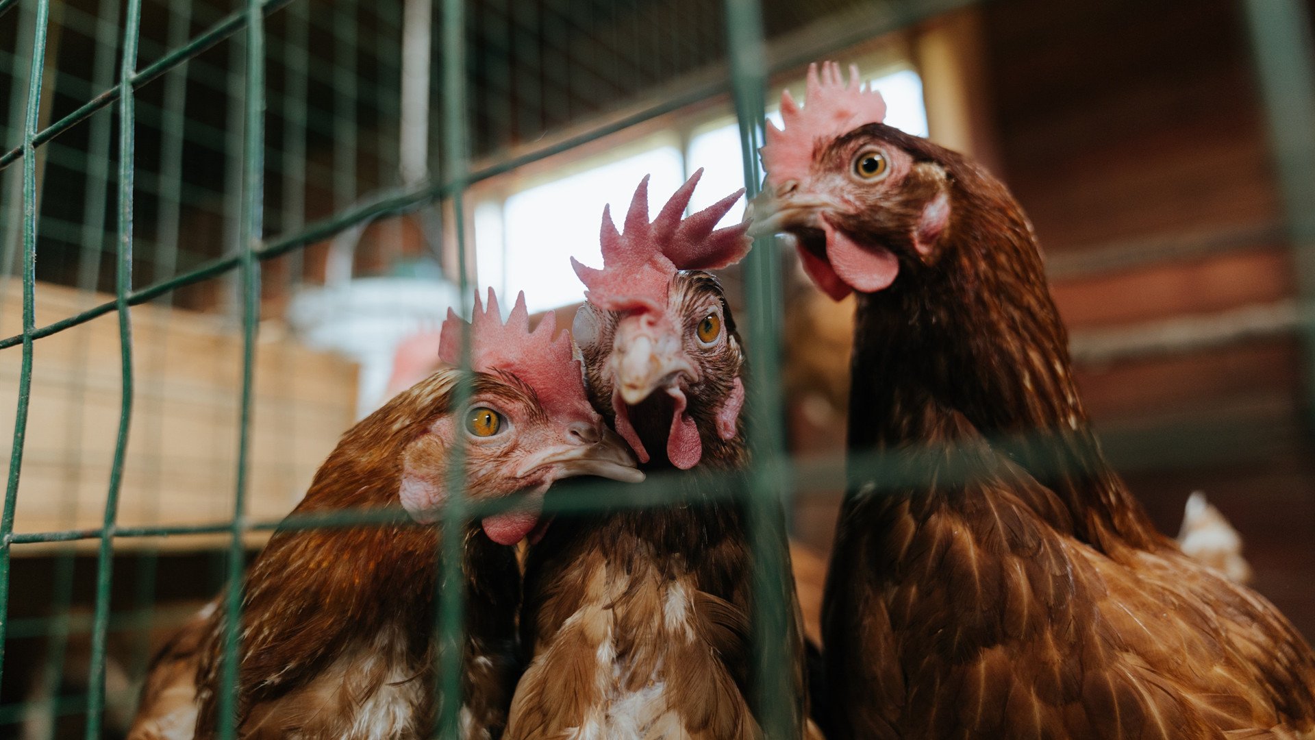 爱游戏官方网站-德甲赛场盛宴:攻防转换间的精彩佳作,德甲防守最好的球队