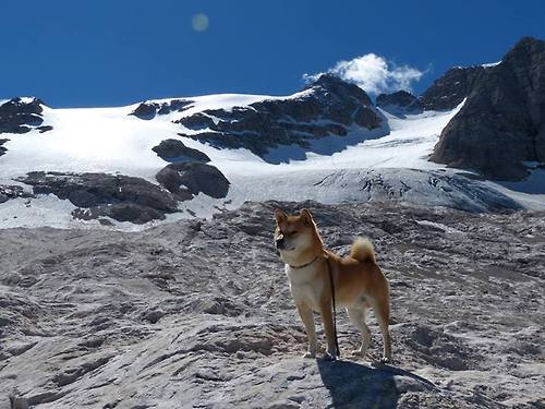 AYX官网-跨界合作打造特色足球产业链，推动行业链条健康发展，中国足球产业链