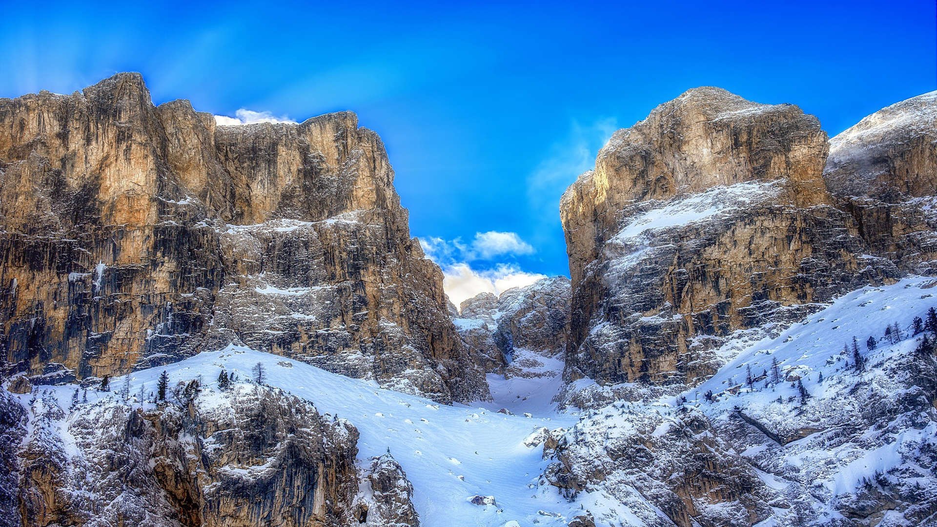 爱游戏中国官方登录入口网站-麦金托什决赛表现赢得媒体热议，麦金托什的著名作品