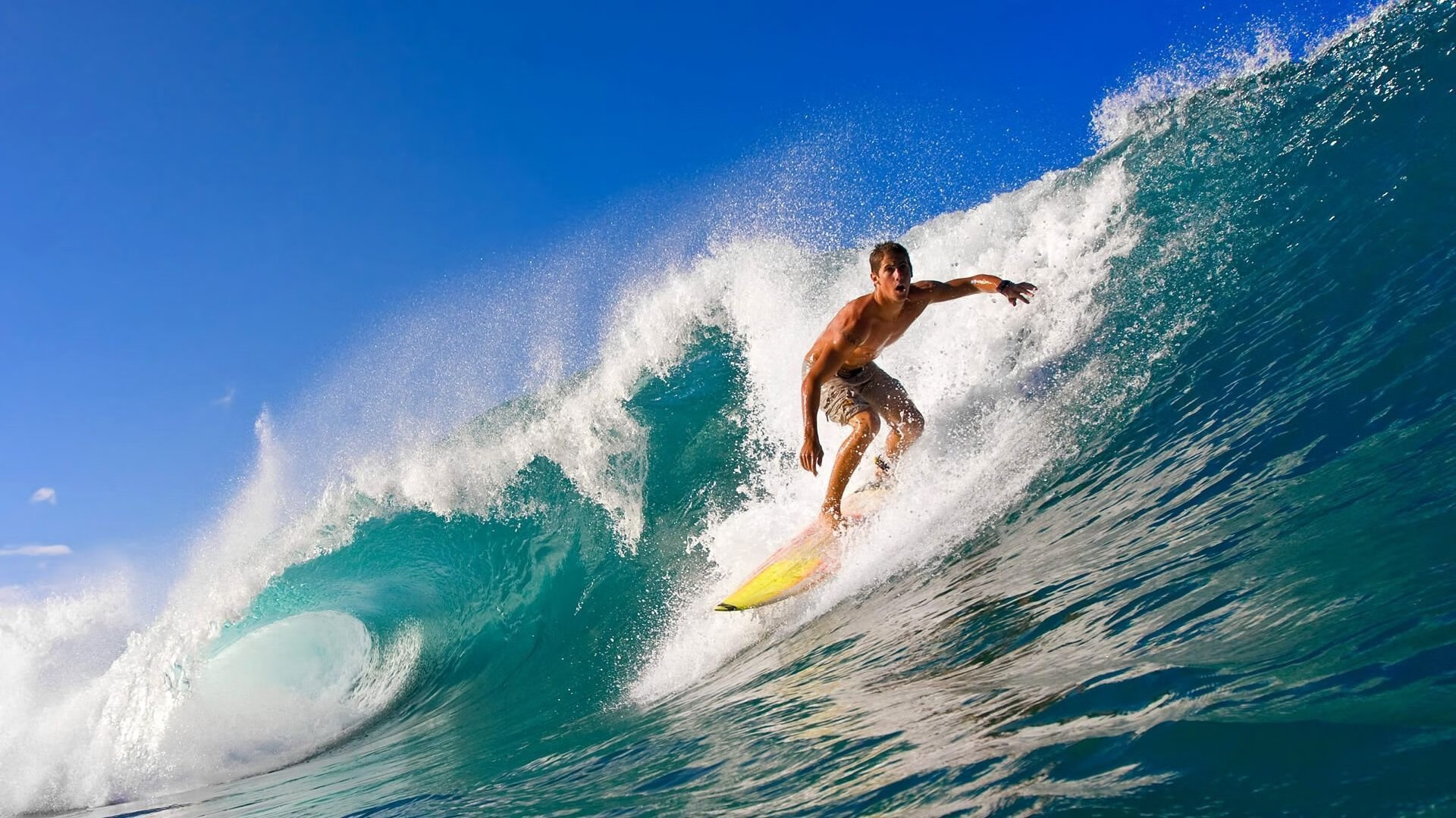 德国马术协会推出马术运动员健康管理系统,关注运动员身心健康。